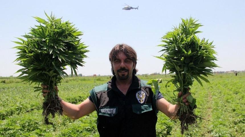 (d&uuml;zeltme) Adana&rsquo;da 1 Yılda 48 Milyon 616 Bin Liralık Uyuşturucu Ele Ge&ccedil;irildi