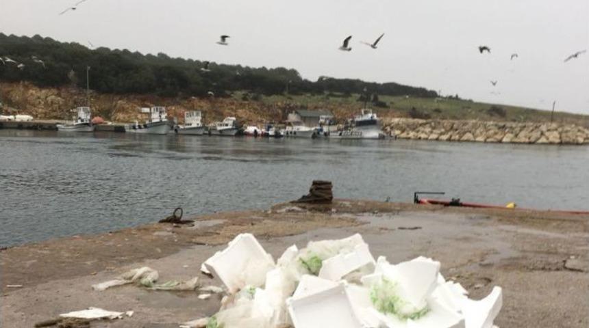 Teknelerin Meydana Getirdiği Kirliliğe Tepki