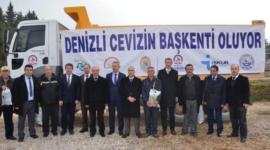 Denizli’de 20 Bin Adet Ceviz Fidanı Dağıtıldı