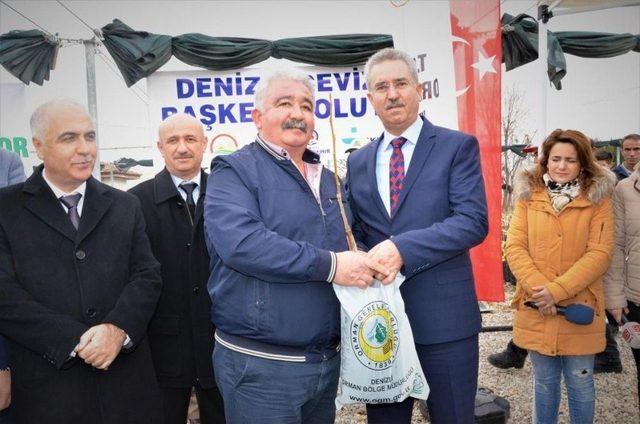 Denizli’de 20 Bin Adet Ceviz Fidanı Dağıtıldı