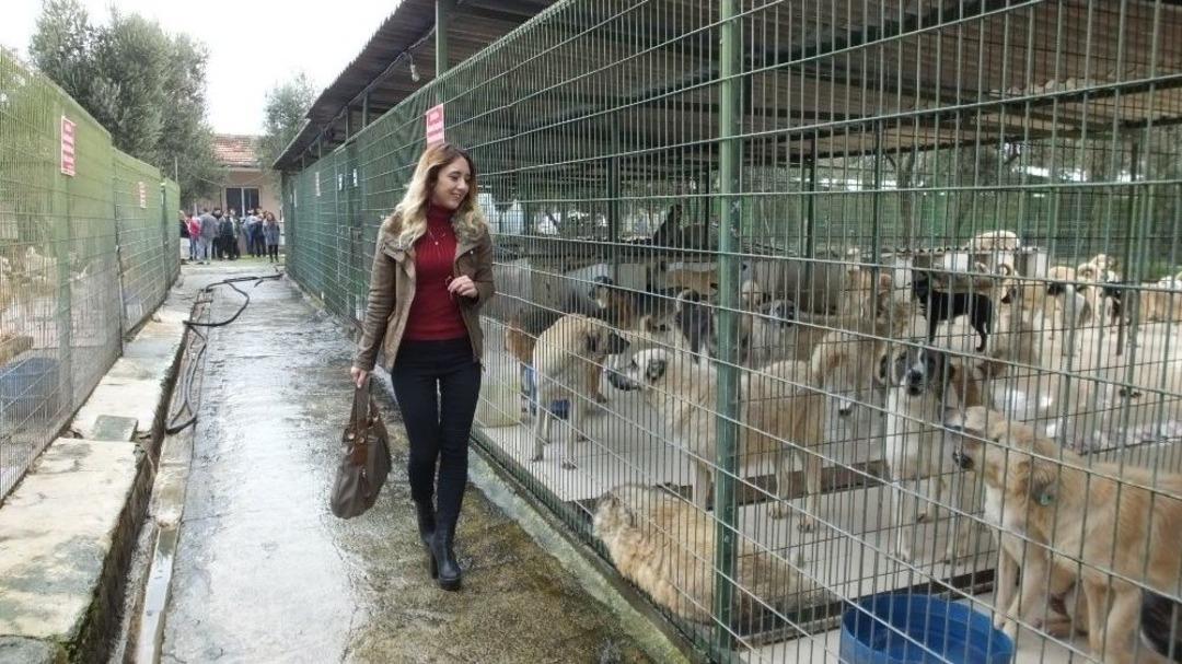 Liseli Gen&ccedil;ler Barınaktaki Can Dostlarını Ziyaret Etti