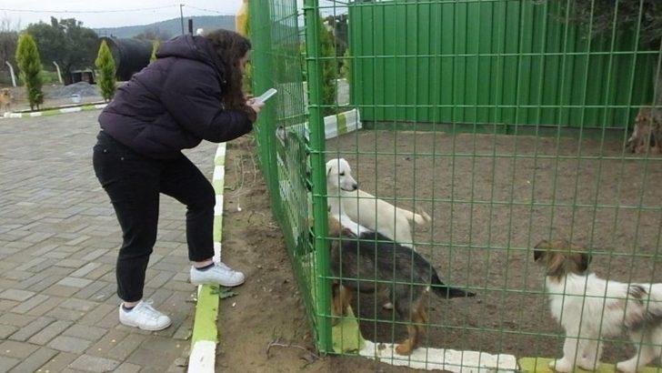 Liseli Gençler Barınaktaki Can Dostlarını Ziyaret Etti G3