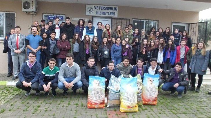 Liseli Gençler Barınaktaki Can Dostlarını Ziyaret Etti G4