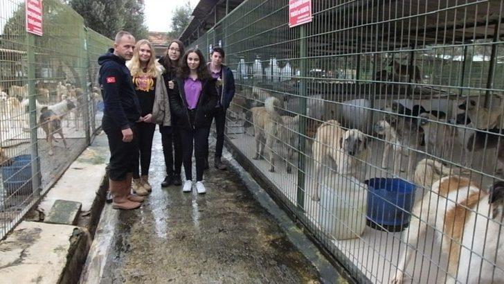 Liseli Gençler Barınaktaki Can Dostlarını Ziyaret Etti G5