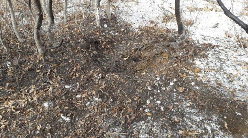 Bitlis&rsquo;te 1 Adet Eyp İmha Edildi