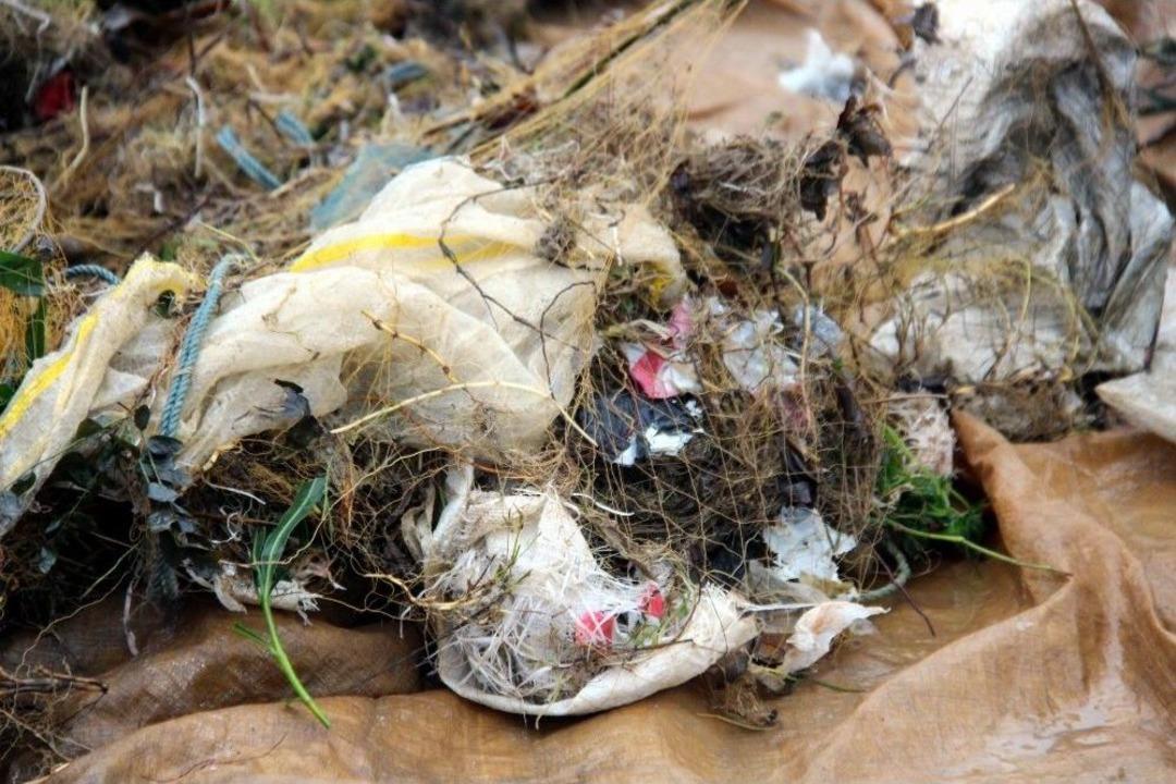 Balığa Niyet, &Ccedil;&ouml;pe Kısmet