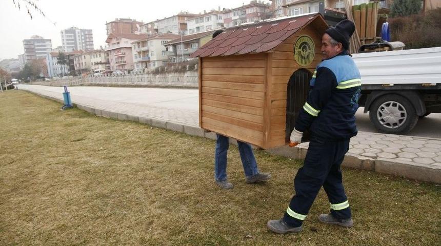 Sokaktaki Dostların Evleri Çoğalıyor