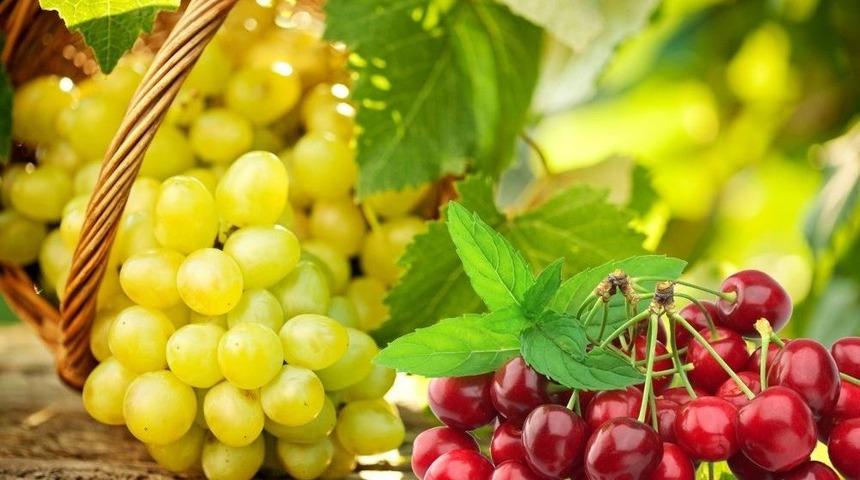 Yaş Meyve Sebze Sekt&ouml;r&uuml; İhracatının Y&uuml;zde 10&rsquo;unu Havadan Yapacak