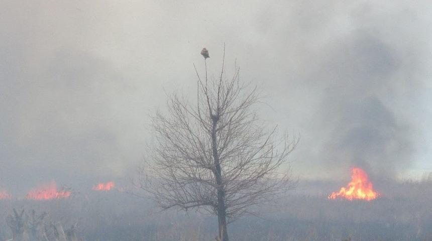 Beyşehir G&ouml;l&uuml; Sazlığında Yangın