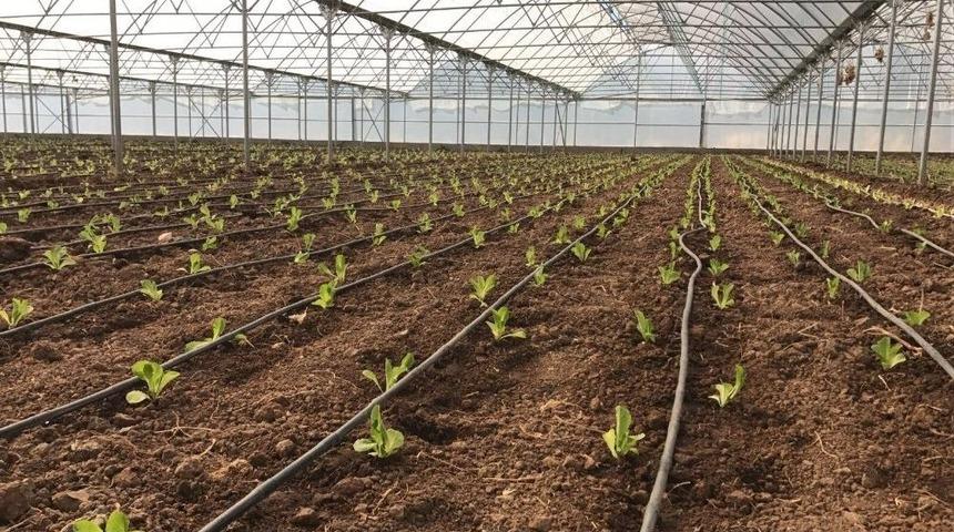 Sera Yatırımları Devam Ediyor