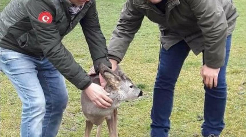 Denize D&uuml;şen Karaca Tedavi Altına Alındı