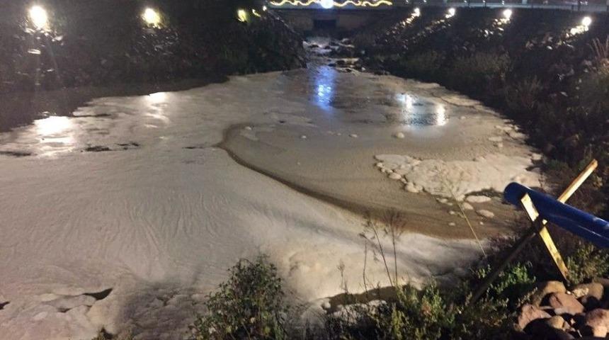 Safran &Ccedil;ayı Yine Aynı Kabusu Yaşadı