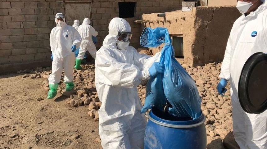 Kızıltepe’de Kuş Gribi Vakası