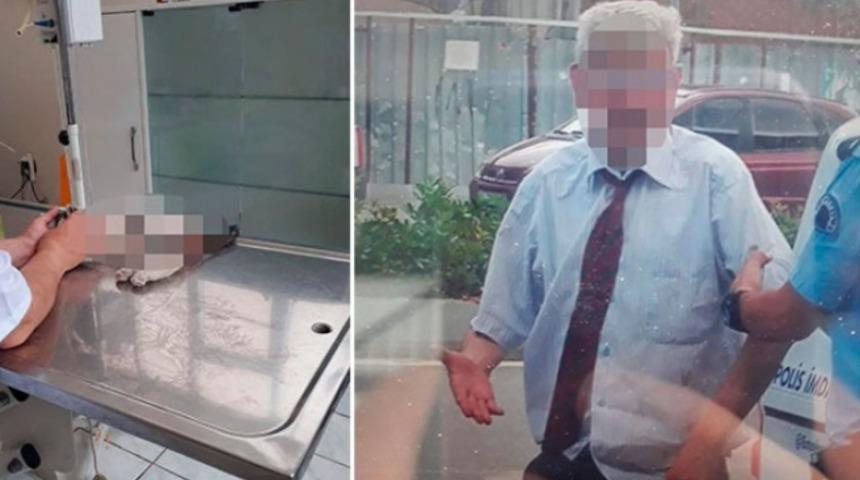 Yavru kediye tecavüze 3 yıl hapis!