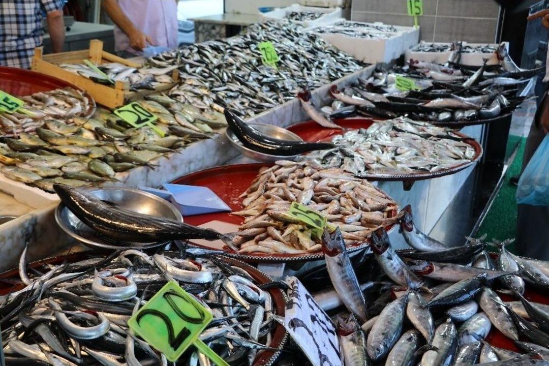 Rize&rsquo;de Tezgahlarda Balık Bolluğu