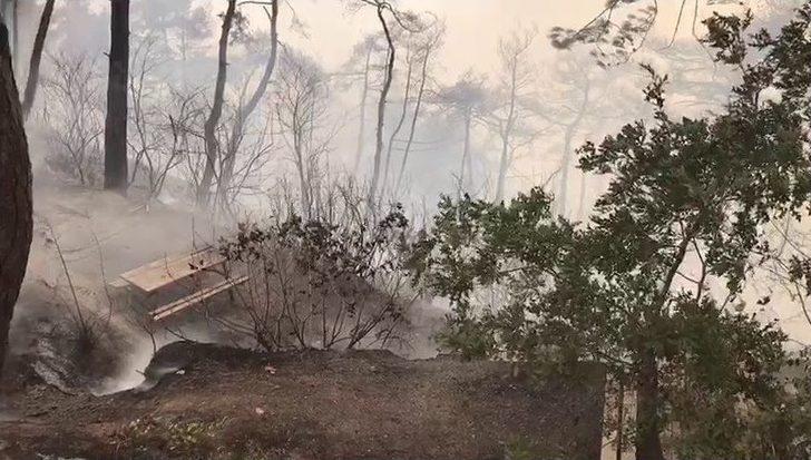 Hatay’daki Orman Yangını 6 Saattir Devam Ediyor G4