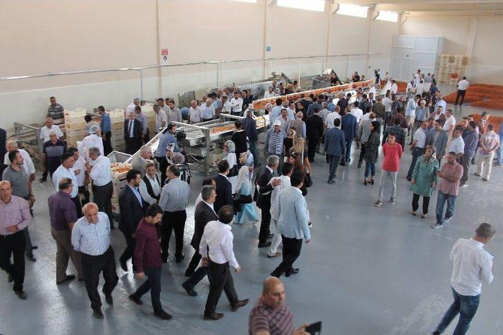 Devlet Desteği İle 2 Milyon Tl’lik Kayısı Tesisi Kurdu G2