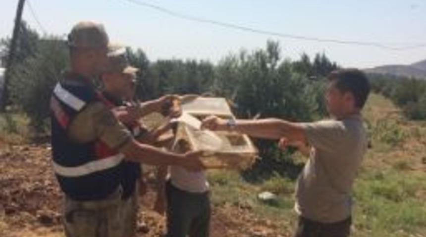 Saka Kuşu Yakalayan Suriyelilere Su&ccedil;&uuml;st&uuml;