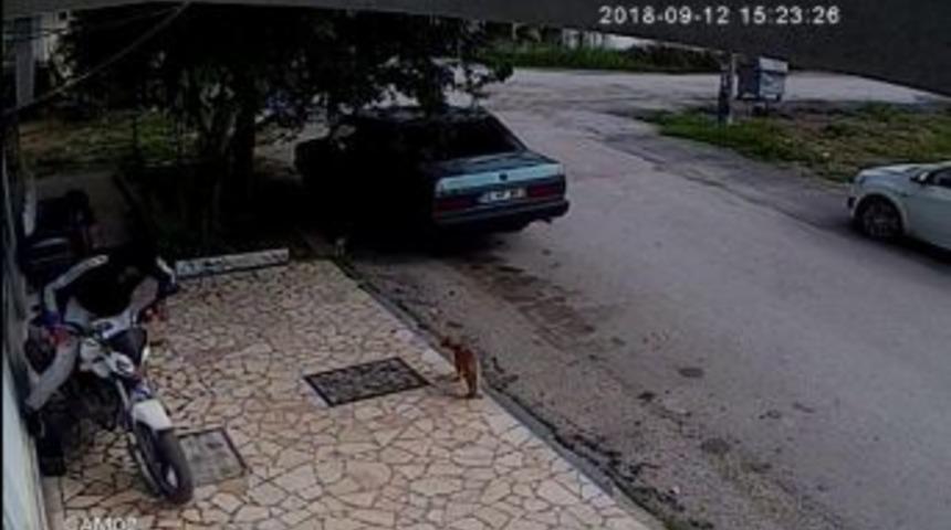 6 Dakikada Motosikleti Çalan 2 Hırsız Kaza Yapınca Yakalandı