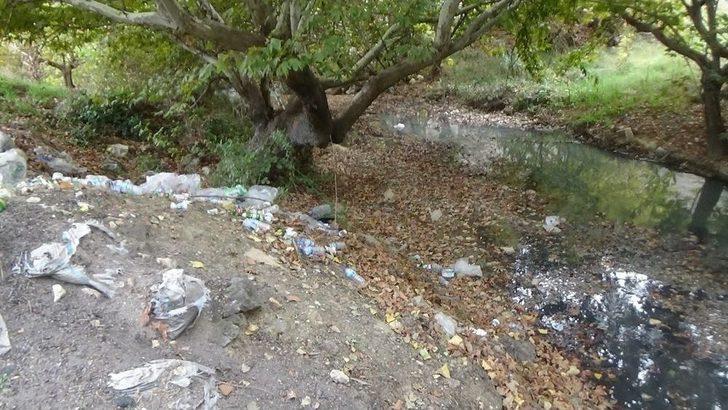 Kütahya’da Çevre Felaketi G1