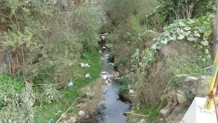 Kütahya’da Çevre Felaketi G4