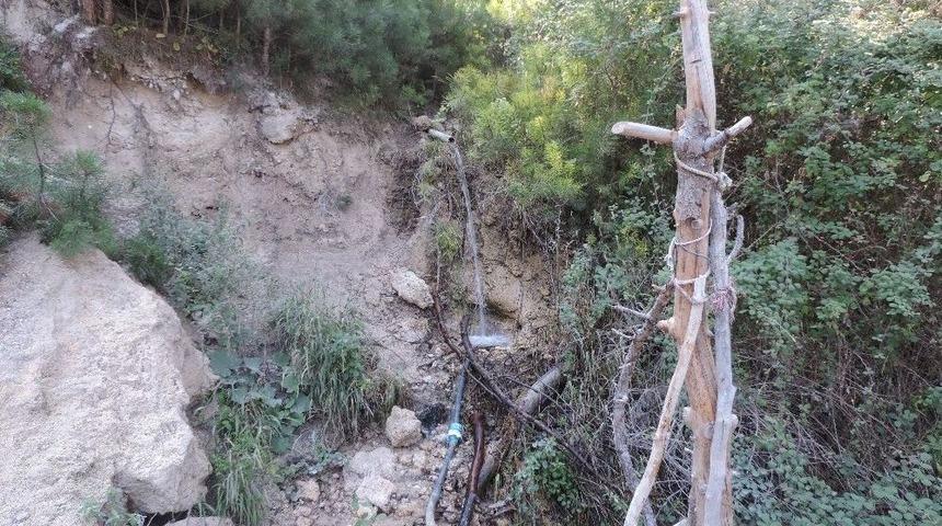 Orman B&ouml;lge M&uuml;d&uuml;rl&uuml;ğ&uuml;&rsquo;nden Zeytin Yaylası A&ccedil;ıklaması