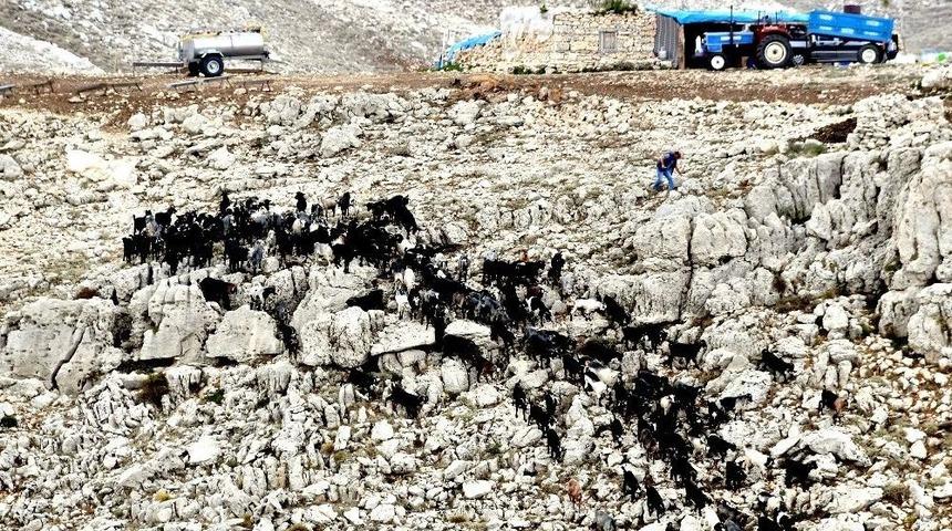 Y&ouml;r&uuml;klerin Yol Sorunu &Ccedil;&ouml;z&uuml;ld&uuml;