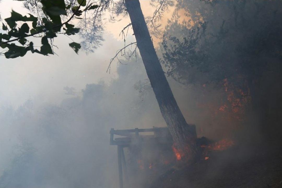 Hatay&rsquo;daki Yangında 40 Hektarlık Orman Alanı Zarar G&ouml;rd&uuml;