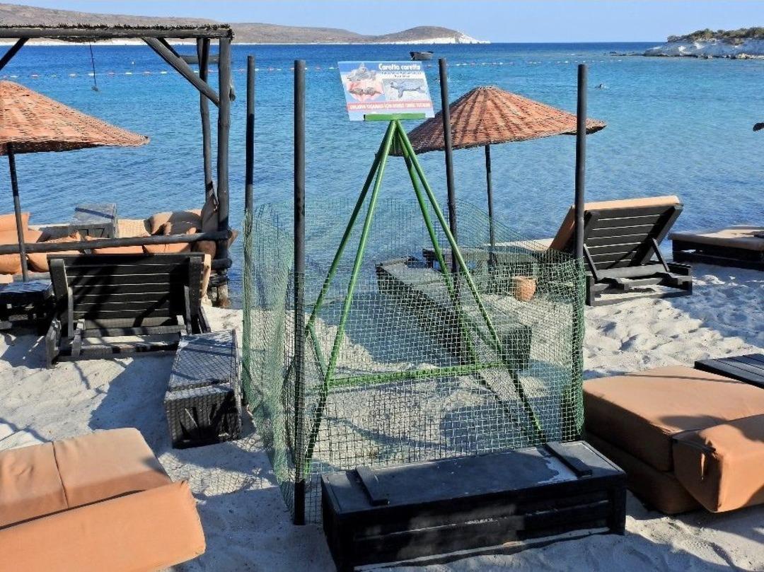 &Ccedil;eşme&rsquo;de İlk Defa Doğan Caretta Yavruları Denizle Buluştu