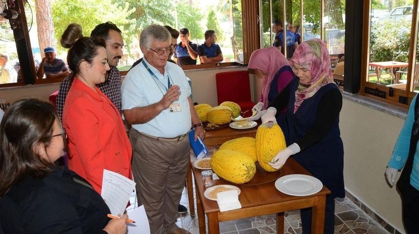 Kırkağaç’ın En Güzel Kavunu Seçildi