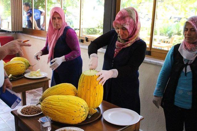 Kırkağaç’ın En Güzel Kavunu Seçildi