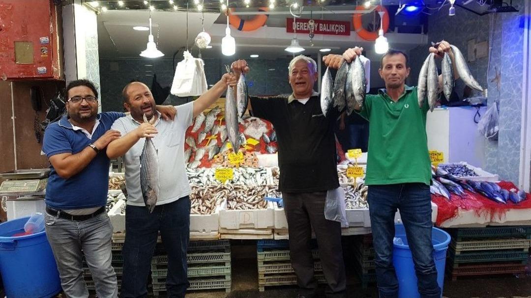 Karadeniz Balık Patlaması: &ldquo;ne Alırsan 5 Tl&rdquo;