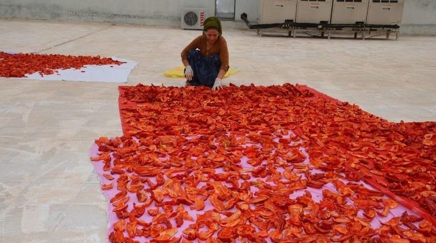 Birecik Belediyesinden &ldquo;isot&rdquo; Tanıtımı Atağı