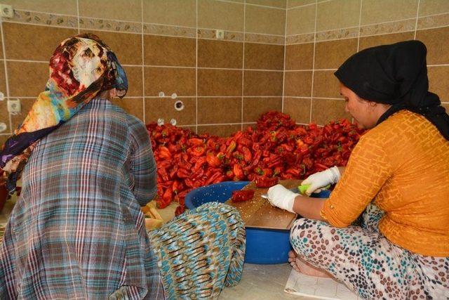 Birecik Belediyesinden “isot” Tanıtımı Atağı