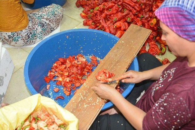 Birecik Belediyesinden “isot” Tanıtımı Atağı