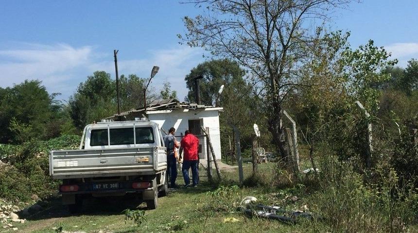 Sokak Köpeği Vurularak Öldürüldü