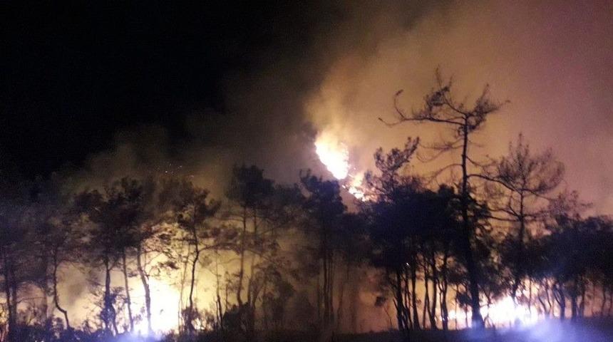 Marmaris&rsquo;te 10 Hektar Alan K&uuml;l Oldu