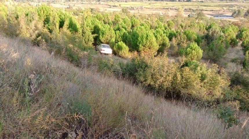 Yoldan &Ccedil;ıkan Otomobil Ağa&ccedil;lık Alana U&ccedil;tu: 3 Yaralı