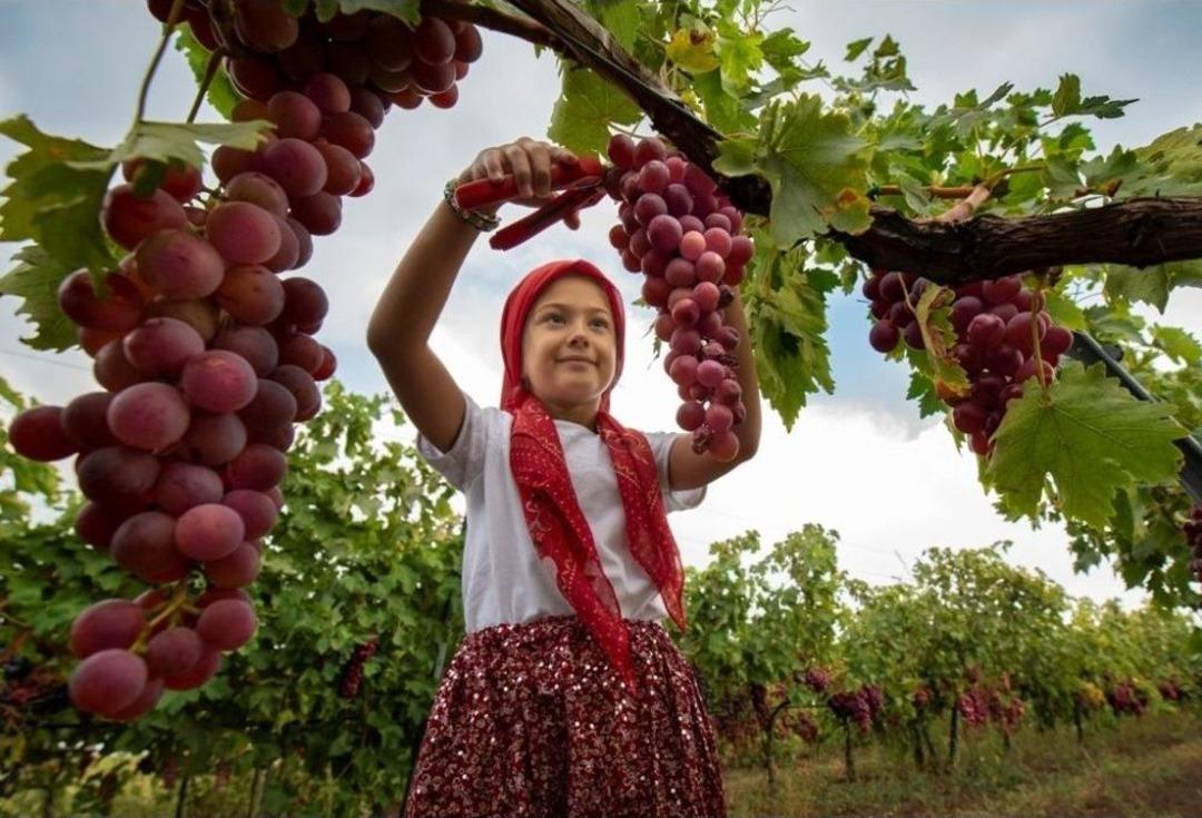 Photo Safari&rsquo;de Dereceye Giren Fotoğraflar Belli Oldu