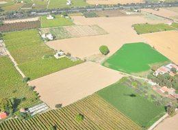  Hazine arazileri yarı bedelle çiftçilere kiralanacak