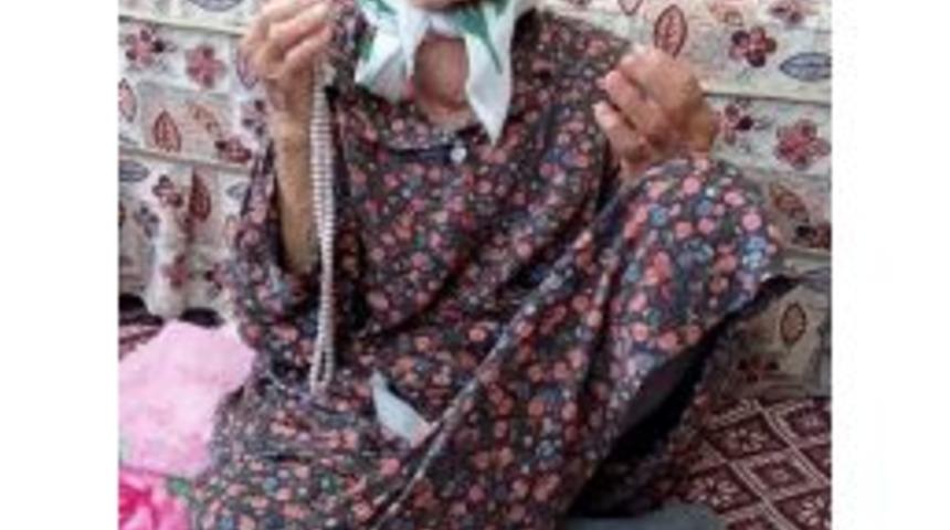 Nazilli’nin 114’lük Çınarını Kaybetti