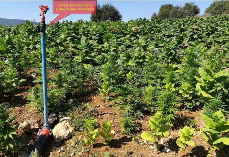 Tuzak İmha Edildi, Pkk’nın Finans Kaynağına Darbe Vuruldu G1