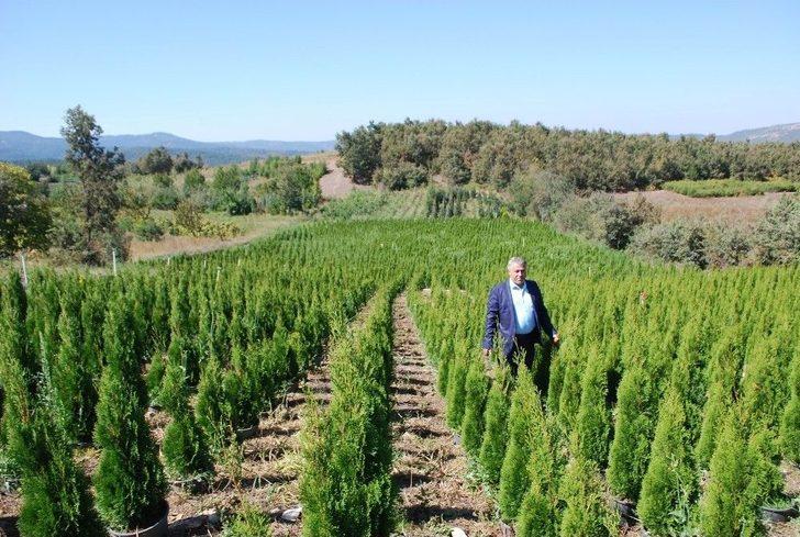 (özel) İstanbul Yeni Havalimanını Manisa’nın Fidanları Süsleyecek G3