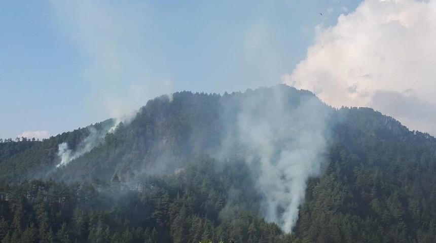 Kahramanmaraş’ta Orman Yangını