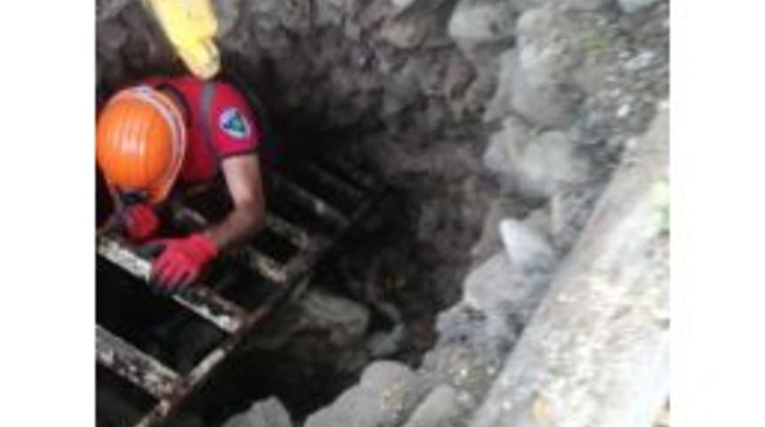 Su Kuyusuna Düşen İneği İtfaiye Ekipleri Kurtardı