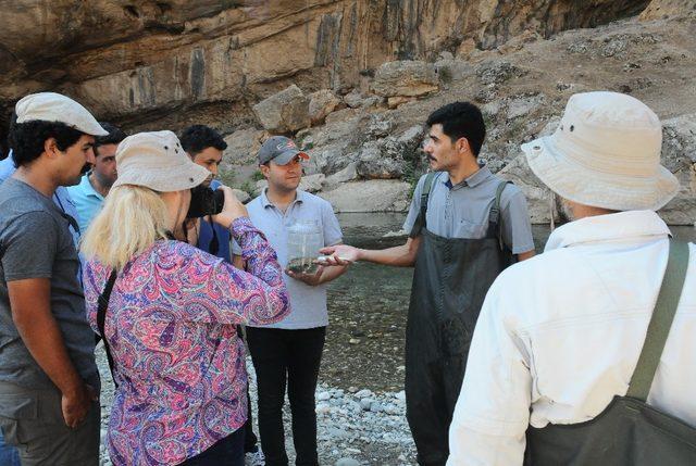 Adıyaman’ın biyolojik envanteri çıkartıldı