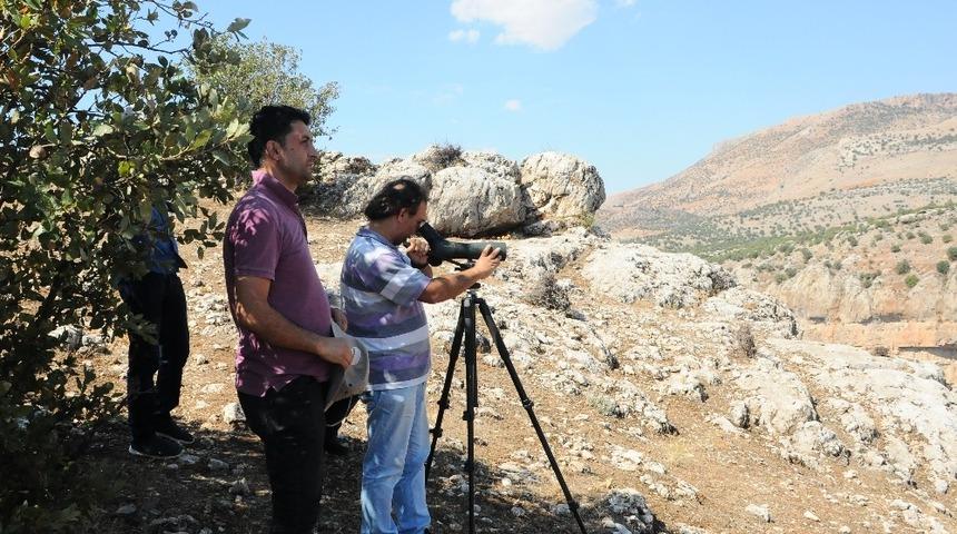 Adıyaman&rsquo;ın biyolojik envanteri &ccedil;ıkartıldı