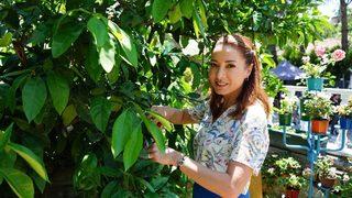 Dolunay Soysert perişan!