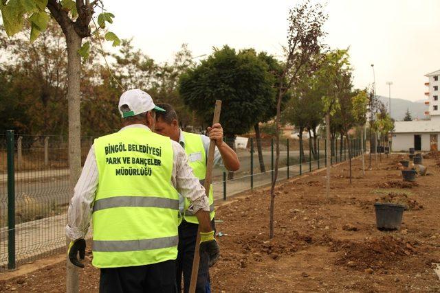 Millet Bahçesi’ne 2 bin ağaç dikilecek