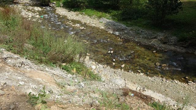 Çaykara'da toplu balık ölümleri endişelendiriyor